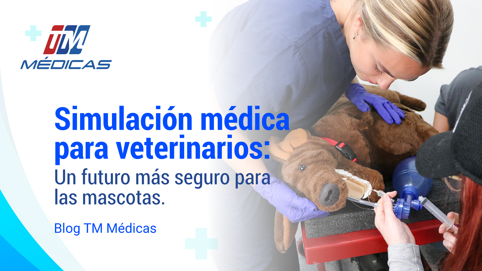 En este momento estás viendo Simulación Médica para Veterinarios: Un Futuro Más Seguro para las Mascotas